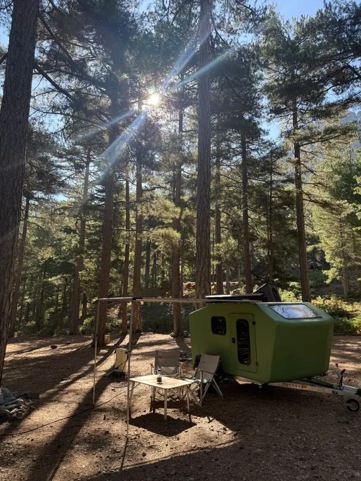 Sunbeams falling through tall pines onto the Glide and a seating area